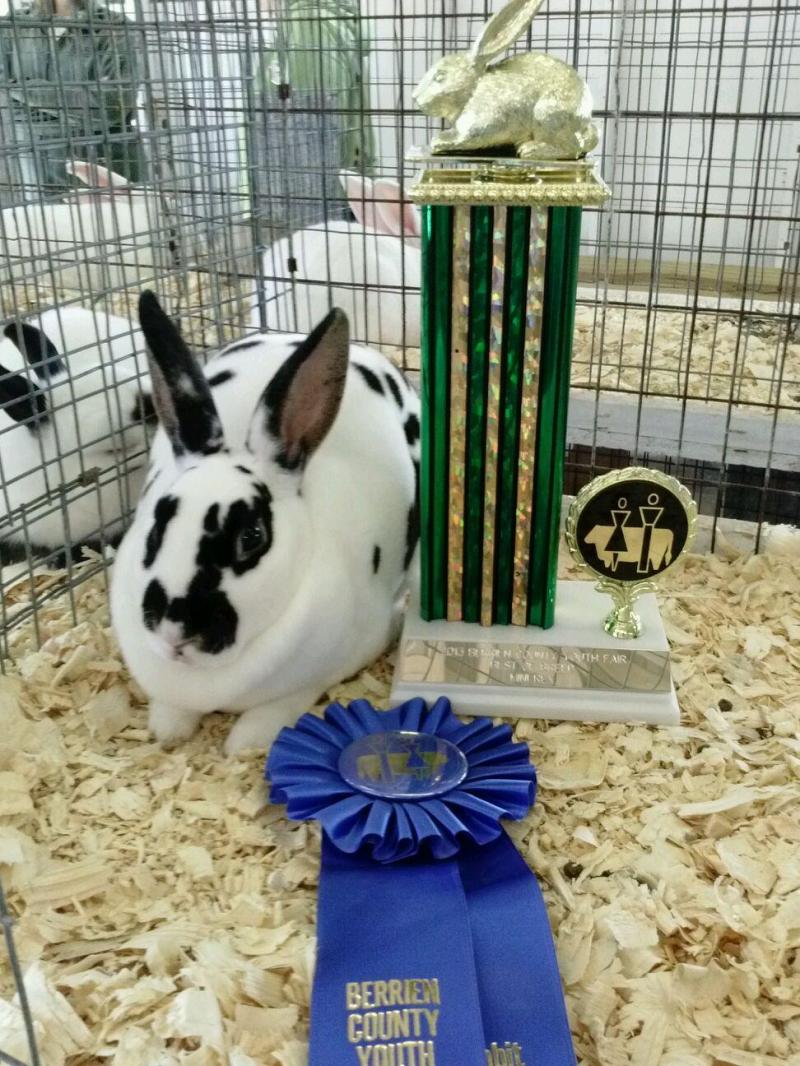 Rose Arbor's Audrey mini rex rabbit